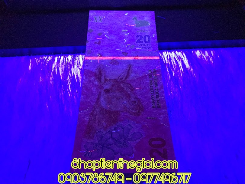 tiền của argentina 1